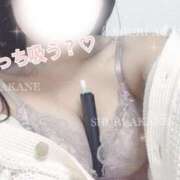 ヒメ日記 2025/04/07 15:16 投稿 茜しゅり ウルトラブレイズ