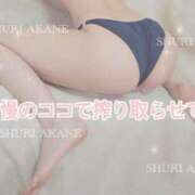 ヒメ日記 2025/04/07 17:06 投稿 茜しゅり ウルトラブレイズ