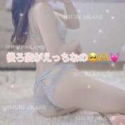 ヒメ日記 2025/04/17 12:08 投稿 茜しゅり ウルトラブレイズ