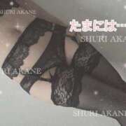 ヒメ日記 2025/04/20 10:06 投稿 茜しゅり ウルトラブレイズ