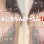 ヒメ日記 2025/04/20 17:16 投稿 茜しゅり ウルトラブレイズ