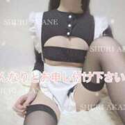 ヒメ日記 2025/04/20 19:06 投稿 茜しゅり ウルトラブレイズ