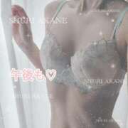 ヒメ日記 2025/04/23 13:46 投稿 茜しゅり ウルトラブレイズ