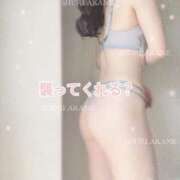 ヒメ日記 2025/04/23 21:46 投稿 茜しゅり ウルトラブレイズ