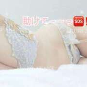 ヒメ日記 2025/04/24 10:17 投稿 茜しゅり ウルトラブレイズ