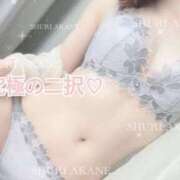 ヒメ日記 2025/04/27 15:06 投稿 茜しゅり ウルトラブレイズ