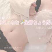 ヒメ日記 2025/04/27 23:06 投稿 茜しゅり ウルトラブレイズ