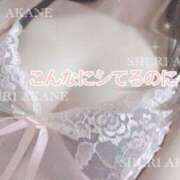 ヒメ日記 2025/04/28 08:16 投稿 茜しゅり ウルトラブレイズ