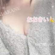 ヒメ日記 2025/04/30 08:16 投稿 茜しゅり ウルトラブレイズ