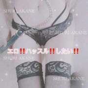 ヒメ日記 2025/04/30 10:17 投稿 茜しゅり ウルトラブレイズ