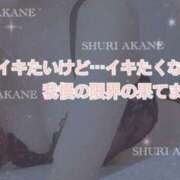 ヒメ日記 2025/05/17 13:46 投稿 茜しゅり ウルトラブレイズ