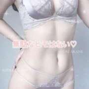 ヒメ日記 2025/05/18 13:46 投稿 茜しゅり ウルトラブレイズ