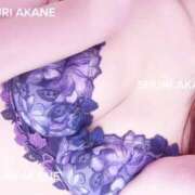 ヒメ日記 2025/06/09 11:46 投稿 茜しゅり ウルトラブレイズ