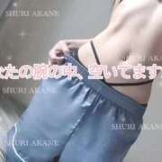 ヒメ日記 2025/06/11 13:46 投稿 茜しゅり ウルトラブレイズ