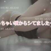 ヒメ日記 2025/06/16 17:06 投稿 茜しゅり ウルトラブレイズ