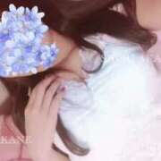 ヒメ日記 2025/06/27 13:46 投稿 茜しゅり ウルトラブレイズ