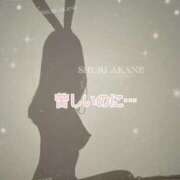 ヒメ日記 2025/07/13 17:16 投稿 茜しゅり ウルトラブレイズ