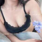 ヒメ日記 2025/11/18 13:56 投稿 茜しゅり ウルトラブレイズ