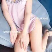 ヒメ日記 2025/12/06 10:36 投稿 茜しゅり ウルトラブレイズ