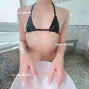 ヒメ日記 2026/01/19 09:17 投稿 茜しゅり ウルトラブレイズ