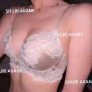 ヒメ日記 2026/01/19 13:16 投稿 茜しゅり ウルトラブレイズ