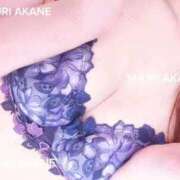 ヒメ日記 2026/02/25 17:16 投稿 茜しゅり ウルトラブレイズ