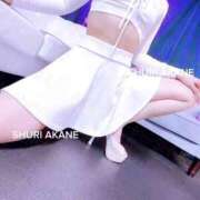 ヒメ日記 2026/02/28 17:16 投稿 茜しゅり ウルトラブレイズ