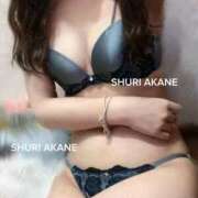 ヒメ日記 2026/02/28 18:46 投稿 茜しゅり ウルトラブレイズ