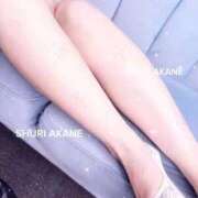 ヒメ日記 2026/03/05 18:38 投稿 茜しゅり ウルトラブレイズ