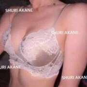 ヒメ日記 2026/03/07 21:17 投稿 茜しゅり ウルトラブレイズ