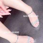 ヒメ日記 2026/03/08 17:16 投稿 茜しゅり ウルトラブレイズ