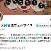 ヒメ日記 2025/09/27 12:10 投稿 みゆう Versailles