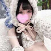 ヒメ日記 2024/12/14 16:23 投稿 まい 秋葉原コスプレ学園(AKG)