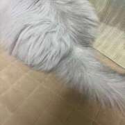 ヒメ日記 2025/01/18 11:43 投稿 空 VIP