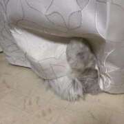 ヒメ日記 2025/02/18 10:23 投稿 空 VIP