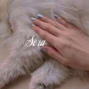 ヒメ日記 2025/02/23 10:13 投稿 空 VIP