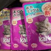 ヒメ日記 2025/03/13 17:13 投稿 空 VIP