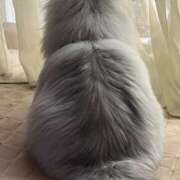 ヒメ日記 2025/05/23 13:53 投稿 空 VIP