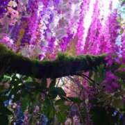 ヒメ日記 2024/12/11 02:03 投稿 中条琴莉 お姉さんCLUB