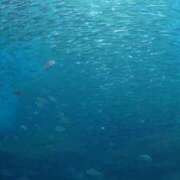 ヒメ日記 2025/01/21 12:49 投稿 中条琴莉 お姉さんCLUB