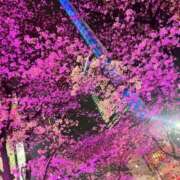 ヒメ日記 2025/02/06 11:04 投稿 中条琴莉 お姉さんCLUB