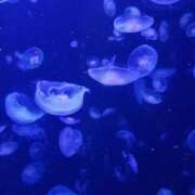 ヒメ日記 2025/02/08 02:49 投稿 中条琴莉 お姉さんCLUB