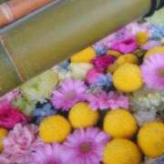 ヒメ日記 2025/04/06 10:19 投稿 中条琴莉 お姉さんCLUB