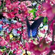 ヒメ日記 2025/04/19 11:04 投稿 中条琴莉 お姉さんCLUB