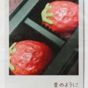 ヒメ日記 2025/05/13 02:18 投稿 中条琴莉 お姉さんCLUB