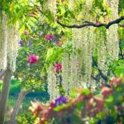 ヒメ日記 2025/06/28 14:03 投稿 中条琴莉 お姉さんCLUB