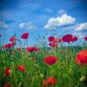 ヒメ日記 2025/08/12 19:12 投稿 中条琴莉 お姉さんCLUB