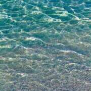 ヒメ日記 2025/08/24 16:51 投稿 中条琴莉 お姉さんCLUB