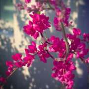 ヒメ日記 2025/09/07 16:40 投稿 中条琴莉 お姉さんCLUB