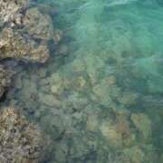 ヒメ日記 2025/09/08 18:00 投稿 中条琴莉 お姉さんCLUB